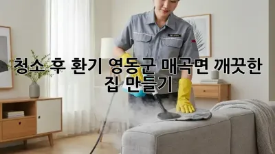 청소 후 환기: 영동군 매곡면 깨끗한 집 만들기